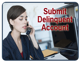 Submit your delinquent accounts online!